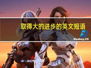 取得大的进步的英文短语
