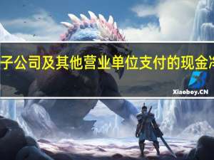取得子公司及其他营业单位支付的现金净额怎么算