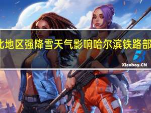 受东北地区强降雪天气影响哈尔滨铁路部分列车停运