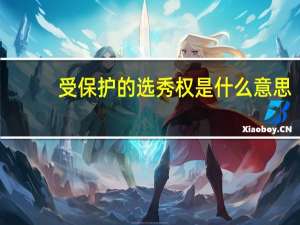 受保护的选秀权是什么意思