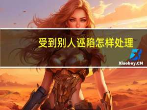 受到别人诬陷怎样处理