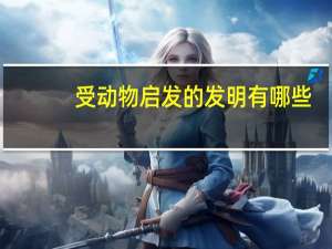 受动物启发的发明有哪些