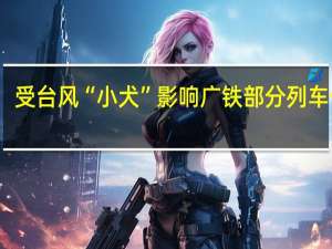 受台风“小犬”影响 广铁部分列车停运