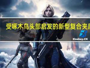 受啄木鸟头部启发的新型复合夹层梁