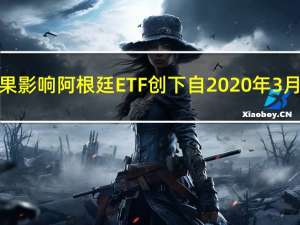 受意外选举结果影响阿根廷ETF创下自2020年3月以来最大跌幅