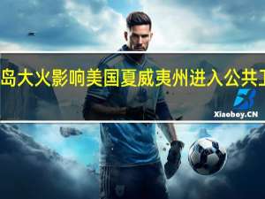受毛伊岛大火影响美国夏威夷州进入公共卫生紧急状态