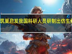 受沙塔蠕虫筑巢启发 我国科研人员研制出仿生低碳新型建筑材料