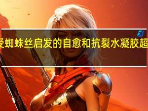 受蜘蛛丝启发的自愈和抗裂水凝胶超细纤维