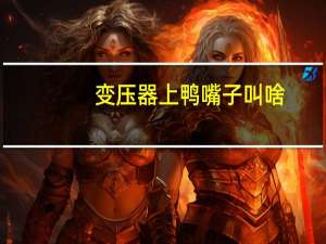 变压器上鸭嘴子叫啥