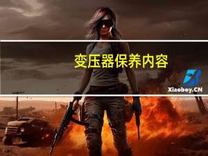 变压器保养内容
