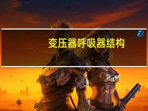 变压器呼吸器结构