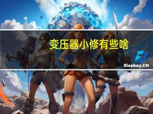 变压器小修有些啥