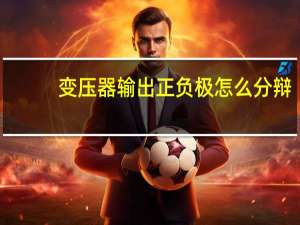 变压器输出正负极怎么分辩