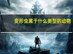 变形虫属于什么类型的动物