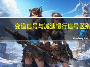 变道信号与减速慢行信号区别（变道信号和减速慢行信号有什么区别?）