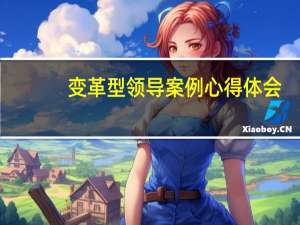 变革型领导案例心得体会（变革型领导案例）