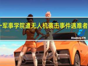 叙利亚一军事学院遭无人机袭击事件遇难者人数升至89人