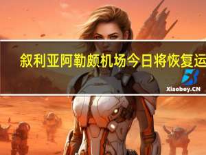 叙利亚阿勒颇机场今日将恢复运行