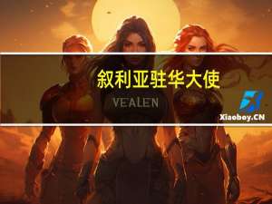 叙利亚驻华大使：叙驻华使馆大门24小时为中国投资者开放