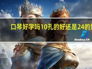 口琴好学吗10孔的好还是24的好