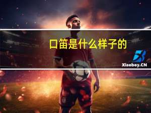 口笛是什么样子的（口笛是什么意思）