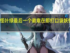 口袋妖怪叶绿最后一个徽章在那打 口袋妖怪叶绿二周目