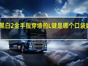 口袋妖怪黑白2金手指穿墙的L键是哪个 口袋妖怪黑白模拟器