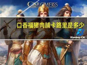 口香福 猪肉脯卡路里是多少