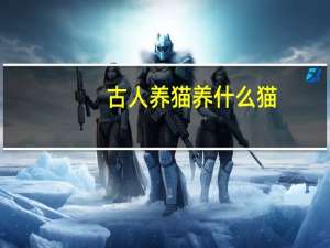 古人养猫养什么猫