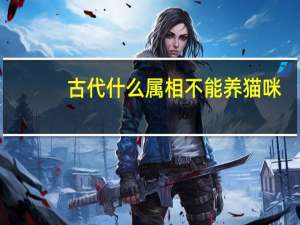 古代什么属相不能养猫咪