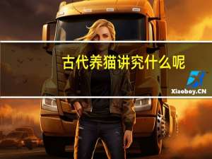 古代养猫讲究什么呢
