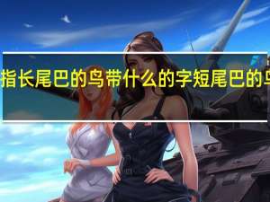 古代指长尾巴的鸟带什么的字短尾巴的鸟是什么字