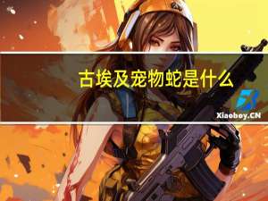 古埃及宠物蛇是什么