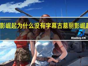 古墓丽影崛起为什么没有字幕 古墓丽影崛起怎么调中文
