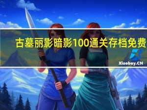 古墓丽影暗影100%通关存档 免费版（古墓丽影暗影100%通关存档 免费版功能简介）