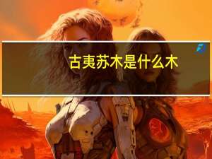 古夷苏木是什么木