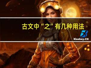 古文中“之”有几种用法