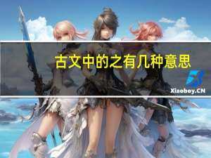 古文中的之有几种意思