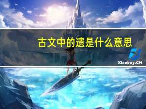 古文中的遗是什么意思
