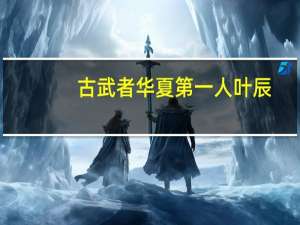 古武者华夏第一人叶辰（古武者）
