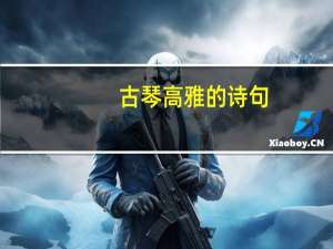古琴高雅的诗句