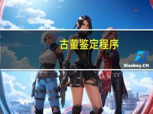 古董鉴定程序