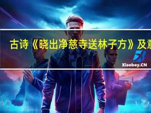 古诗《晓出净慈寺送林子方》及意思