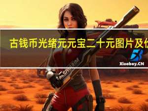 古钱币光绪元元宝二十元图片及价格（20万光绪元宝图片）