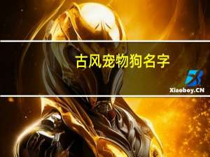 古风宠物狗名字