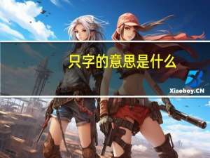 只字的意思是什么