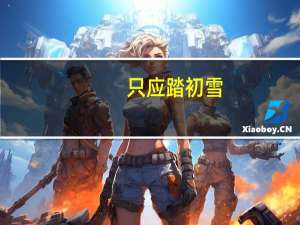 只应踏初雪,骑马发荆州什么意思