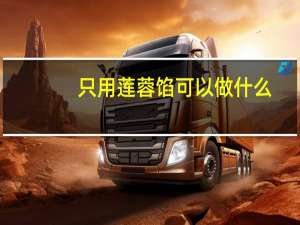 只用莲蓉馅可以做什么