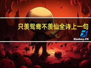 只羡鸳鸯不羡仙全诗上一句