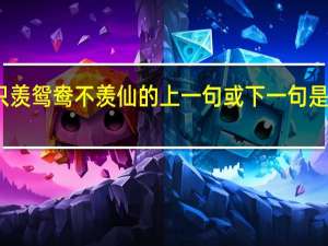 只羡鸳鸯不羡仙的上一句或下一句是什么啊